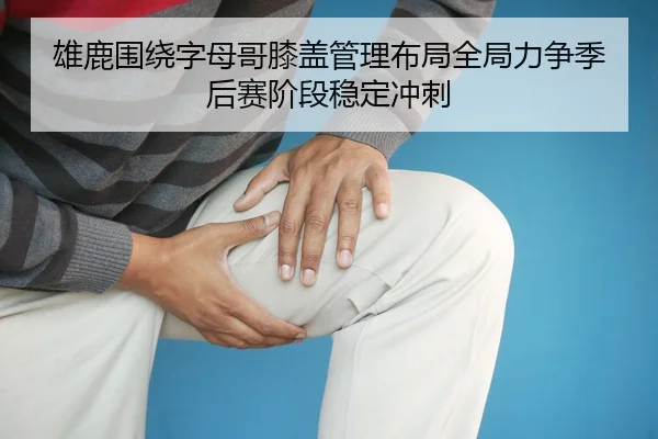 雄鹿围绕字母哥膝盖管理布局全局力争季后赛阶段稳定冲刺